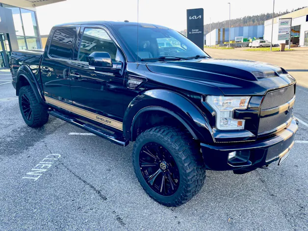 Ford Shelby F150 Offroad