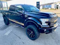 Ford Shelby F150 Offroad
