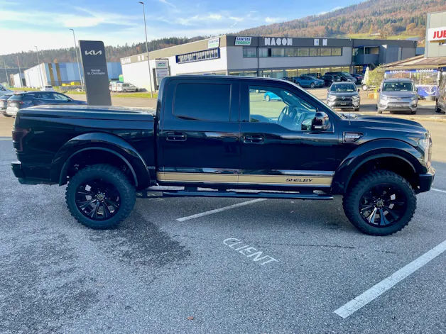 Ford Shelby F150 Offroad