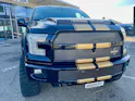 Ford Shelby F150 Offroad