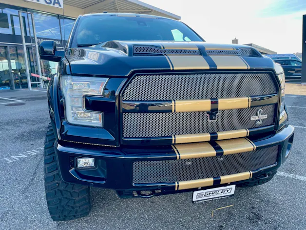 Ford Shelby F150 Offroad
