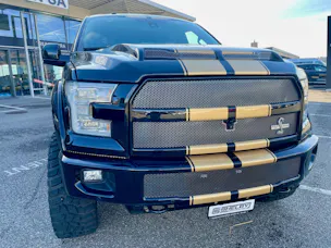Ford Shelby F150 Offroad