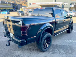 Ford Shelby F150 Offroad
