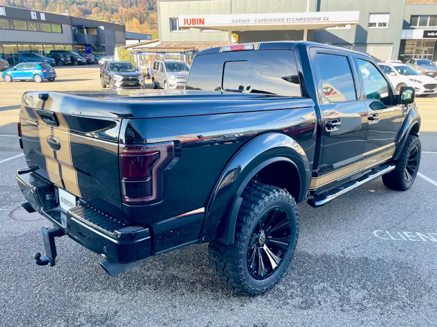 Ford Shelby F150 Offroad