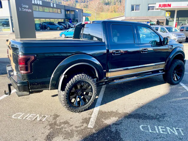 Ford Shelby F150 Offroad
