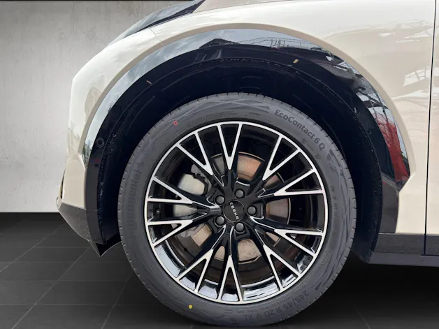 ZEEKR X Privilege AWD
