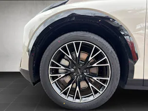 ZEEKR X Privilege AWD