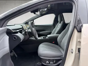 ZEEKR X Privilege AWD