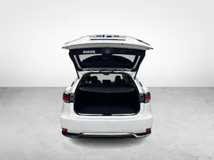 Lexus RX 450h X + Ruote invernali incluse