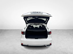 image du véhicule LEXUS RX 450h X + Ruote invernali incluse