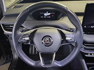 Škoda Enyaq iV 80x