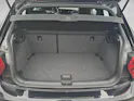 VW Polo 2.0 TSI GTI DSG