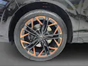 Cupra Terramar 2.0 TSI Prime Edition VZ 4Drive DSG