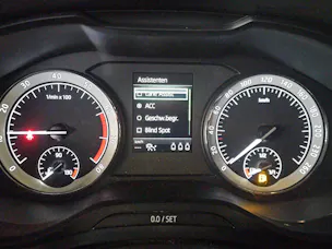 SKODA Kodiaq 2.0 TSI 4x4 DSG Smile