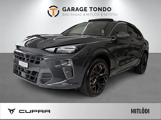 Cupra Terramar 2.0 TSI Prime Edition VZ 4Drive DSG