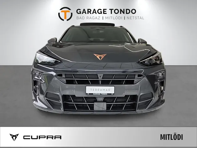 Cupra Terramar 2.0 TSI Prime Edition VZ 4Drive DSG