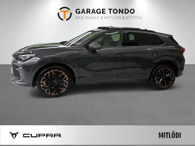 Cupra Terramar 2.0 TSI Prime Edition VZ 4Drive DSG