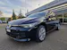 VW Golf VIII 1.5 UNITED eTSI Life DSG