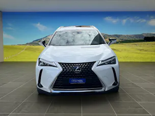 Lexus UX 250h Excellence