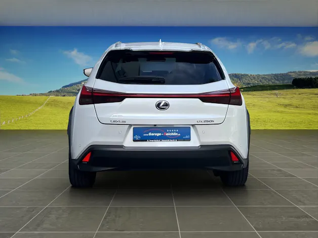 Lexus UX 250h Excellence