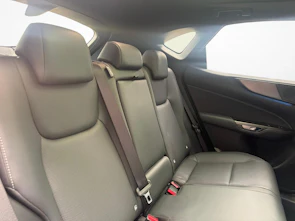 Fahrzeugbild LEXUS NX 450h+ F-Sport