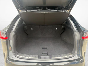 Fahrzeugbild LEXUS NX 450h+ F-Sport