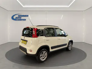 Fiat Panda 1.3 JTD Pop 4x4 S/S