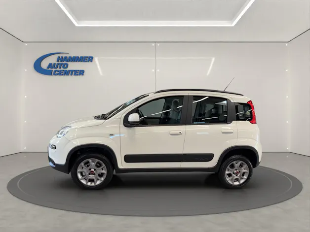Fiat Panda 1.3 JTD Pop 4x4 S/S