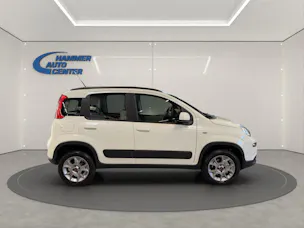 Fiat Panda 1.3 JTD Pop 4x4 S/S