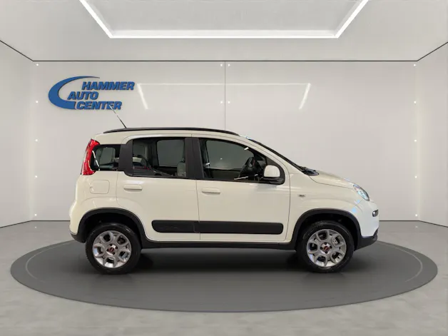 Fiat Panda 1.3 JTD Pop 4x4 S/S