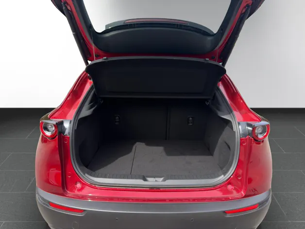 Mazda CX-30 G 140 Exclusive AT