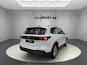 VW Tiguan 1.5 TSI evo2 mHEV DSG