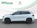 Škoda Karoq 2.0 TSI Dynamic Limited Edition 4x4 DSG