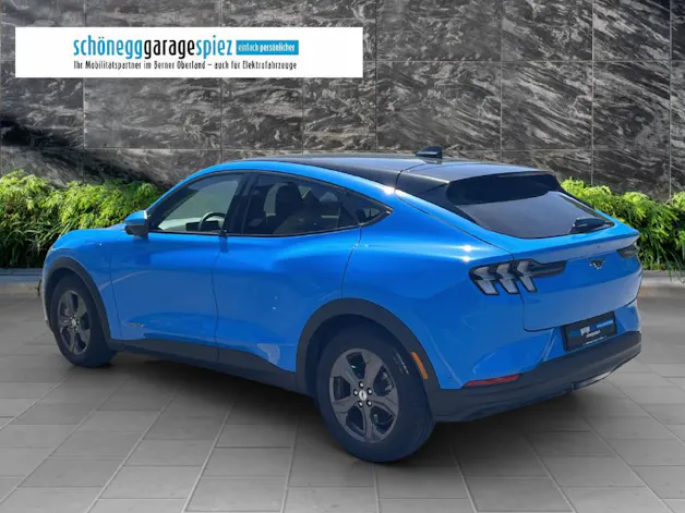Ford Mustang Mach-E Standard