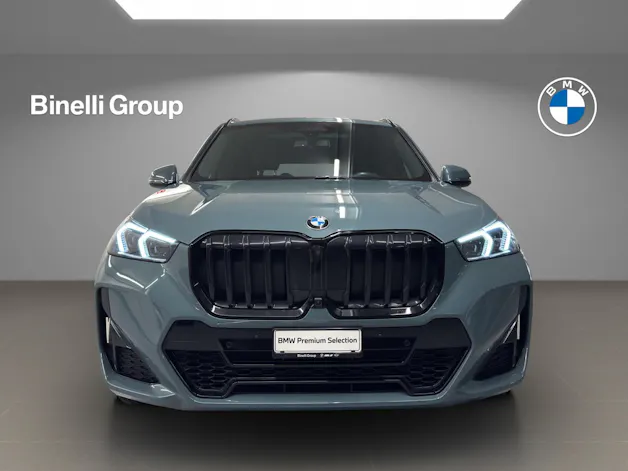 BMW X1 23i xDrive paddles