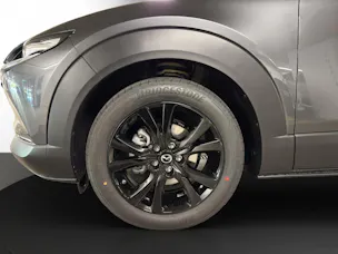 Mazda CX-30 SKYACTIV-X 186 M Hybrid Homura AWD AT