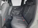 Jeep Renegade 1.3 Trailhawk 4xe