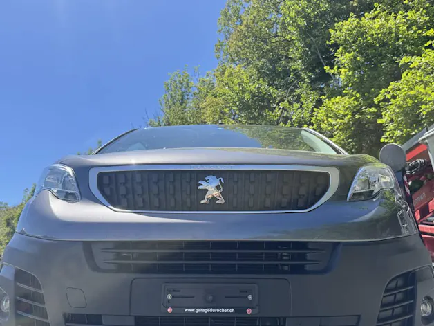 Peugeot Expert 2.0 BlueHDi 120 4x4 Dangel