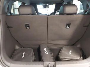 BYD Dolphin Surf Comfort