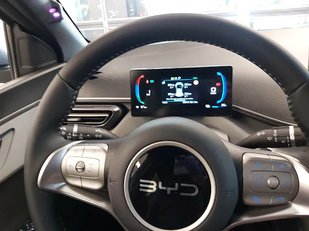 BYD Dolphin Surf Comfort