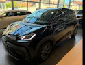 BYD Dolphin Surf Comfort