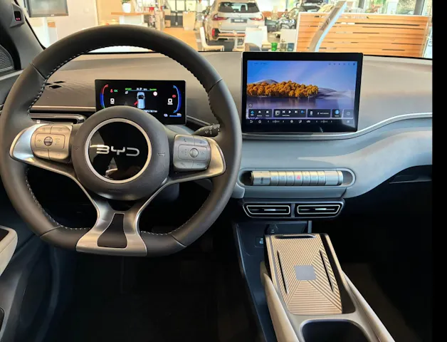BYD Dolphin Surf Comfort