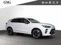 Cupra Terramar 2.0 TSI Prime Edition DSG 4Drive