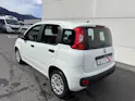 Fiat Panda 1.2 69 Easy con FORNO PIZZA
