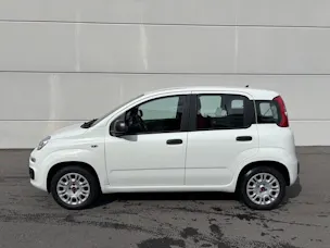 Fiat Panda 1.2 69 Easy con FORNO PIZZA