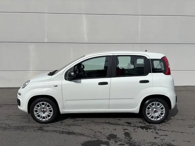 Fiat Panda 1.2 69 Easy con FORNO PIZZA