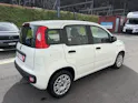 Fiat Panda 1.2 69 Easy con FORNO PIZZA