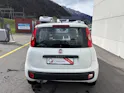 Fiat Panda 1.2 69 Easy con FORNO PIZZA