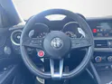 Alfa Romeo Stelvio 2.9 V6 Biturbo Q4 Quadrifoglio Sky