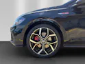 VW Polo 2.0 TSI GTI DSG